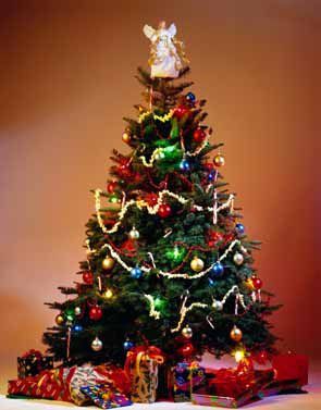 xmasbaum05a.jpg &copy;