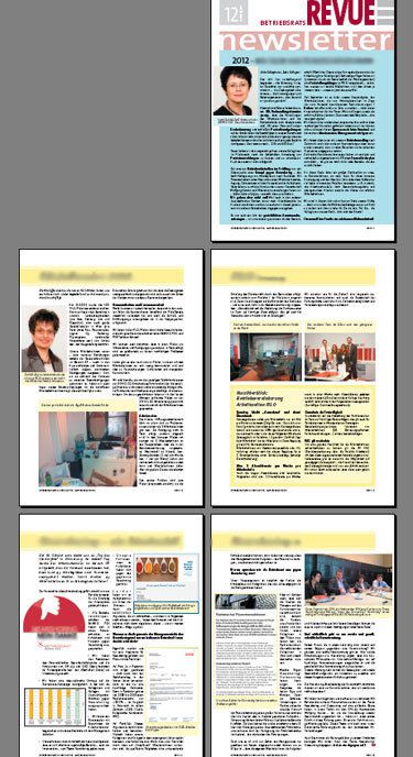 BR-Newsletter Jahresausgabe 2012 ©BAWAG P.S.K. Betriebsrat BR-Newsletter Jahresausgabe 2012 ©BAWAG P.S.K. Betriebsrat