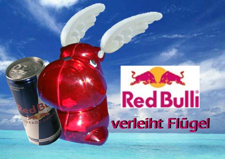 01_REDBULLI_Andrea_Saxl_GS_668.jpg &copy;